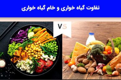 تفاوت گیاه خواری و خام گیاه خواری